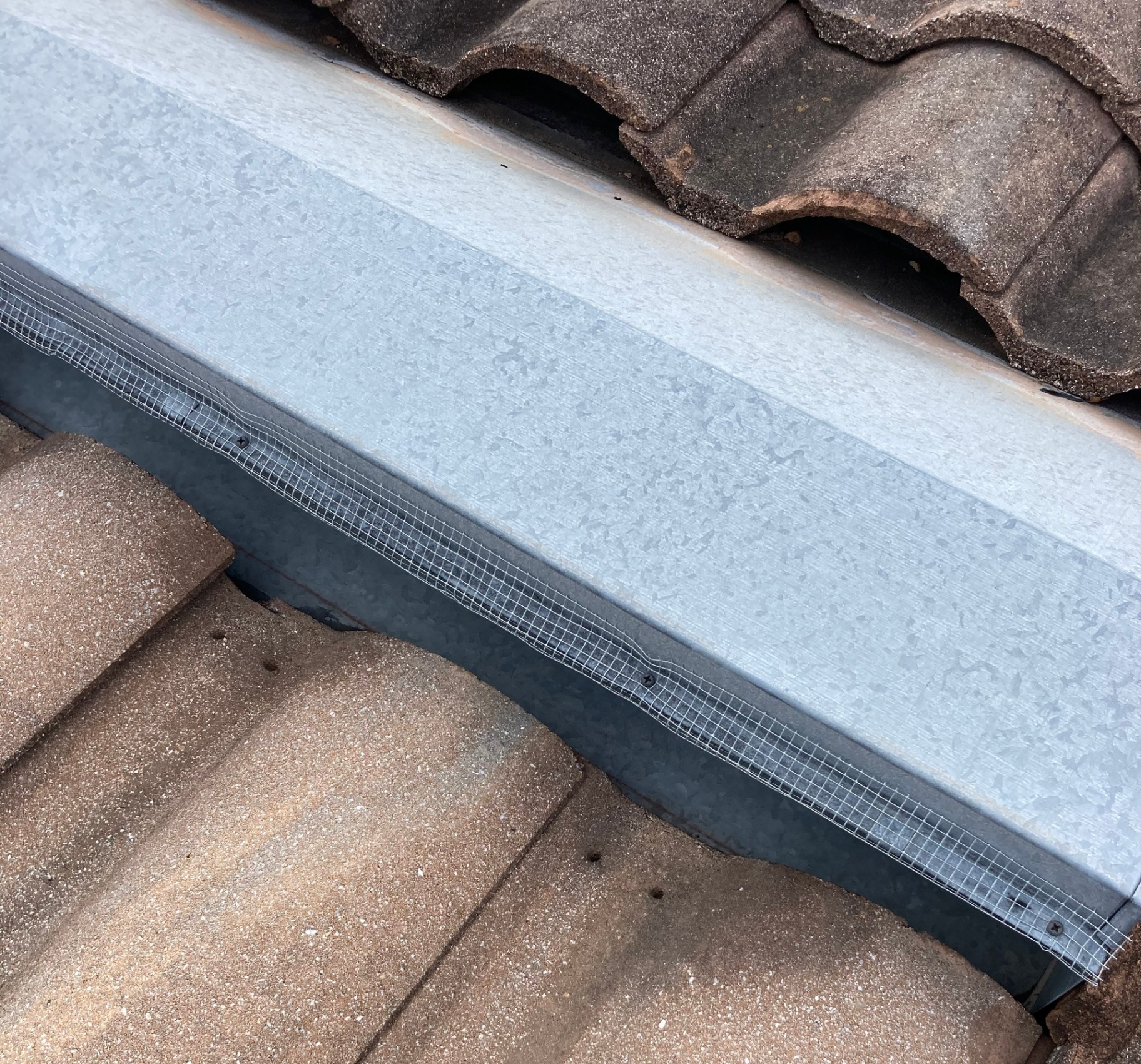 Galvanized steel mesh exclusion sealing a tile roof gap on an Orlando home to block rodent and bat entry