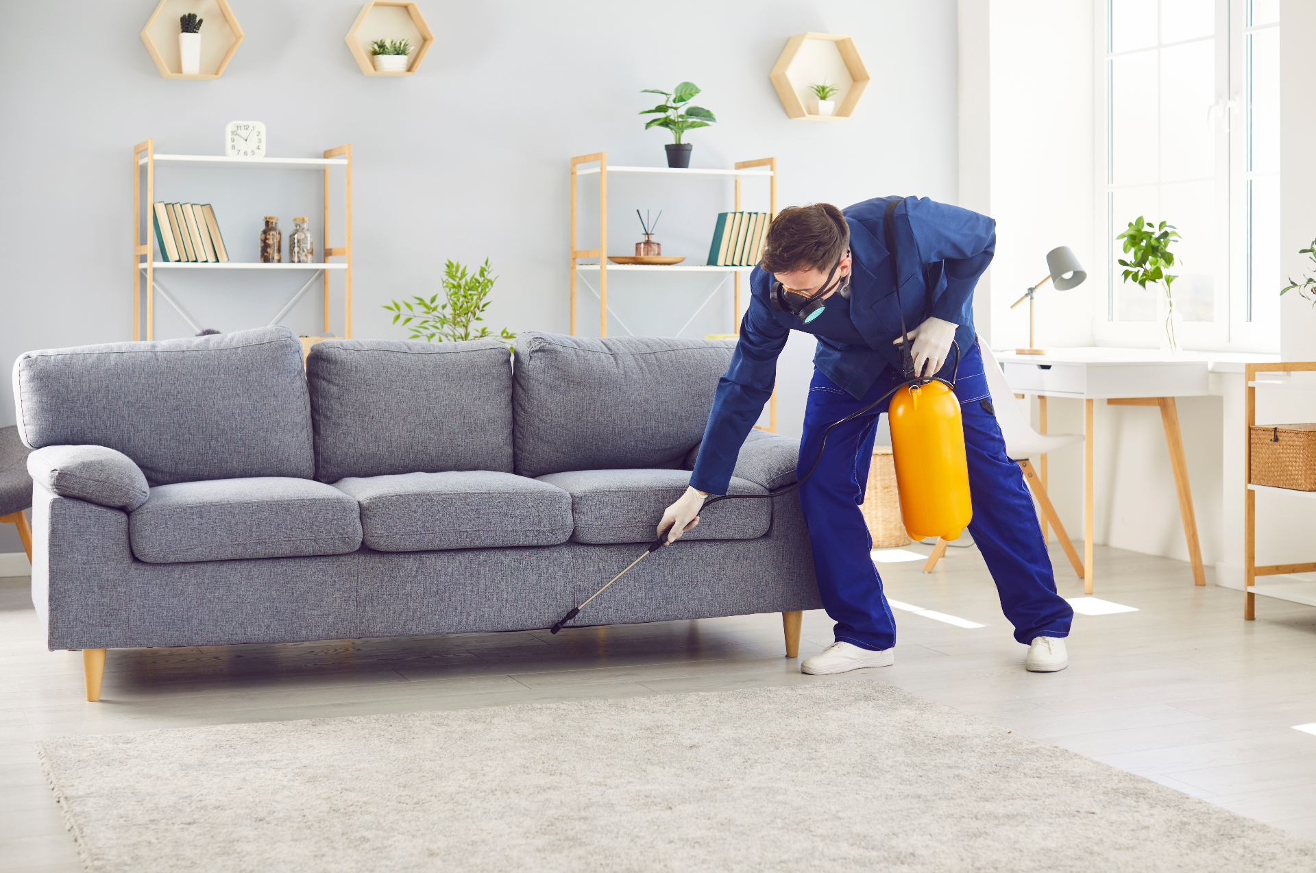 Licensed pest control technician treating baseboards and furniture inside an Orlando FL home